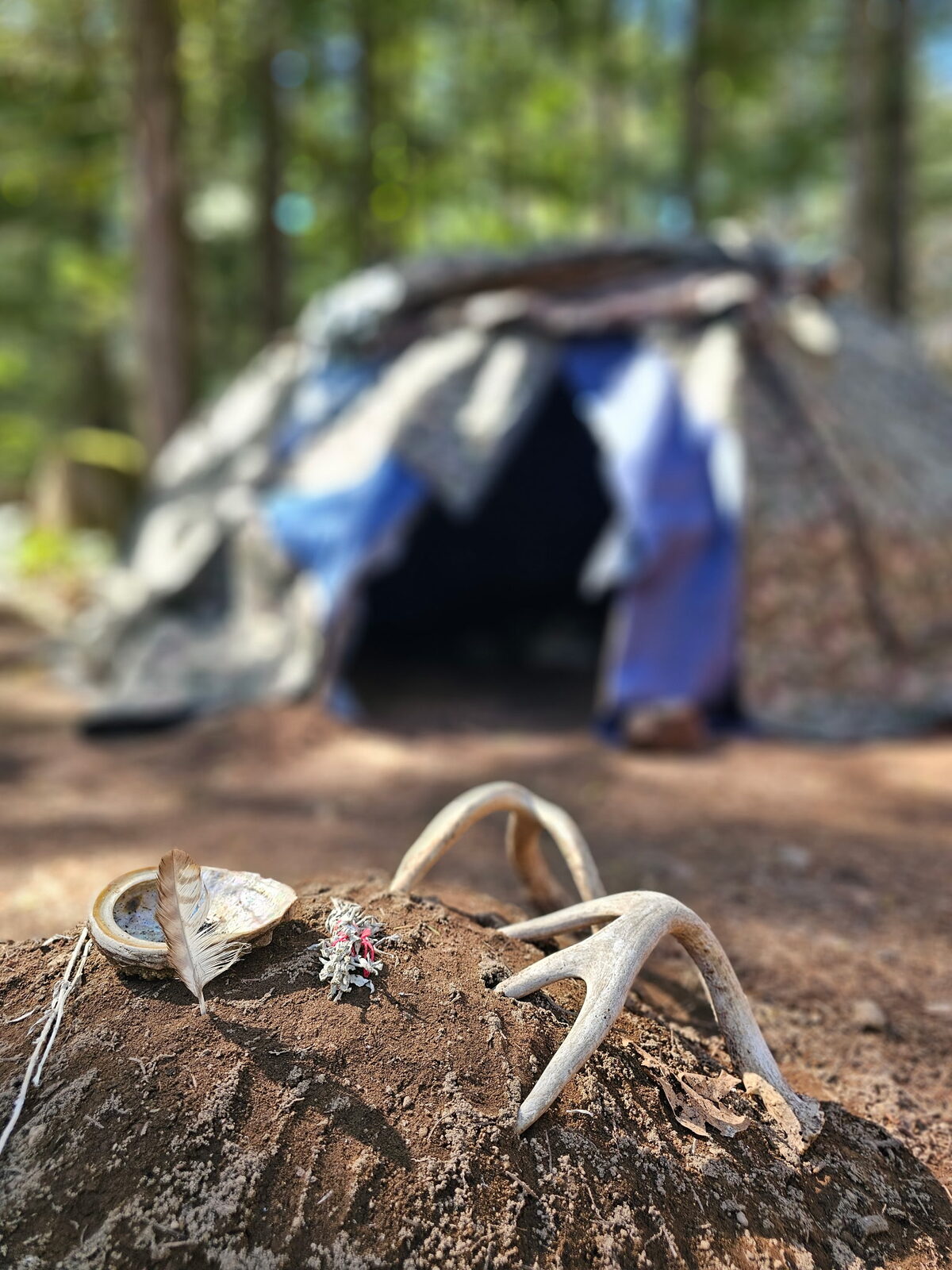 Antlers and shelter